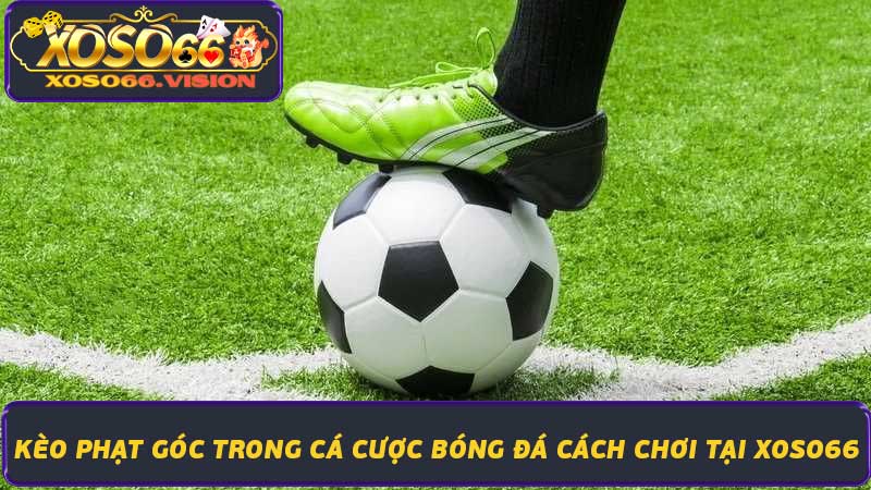 Kèo Phạt Góc Trong Cá Cược Bóng Đá Cách Chơi Tại Xoso66