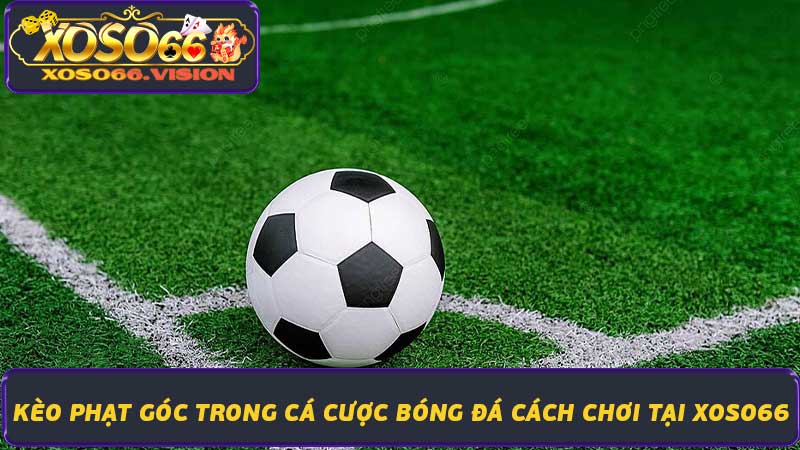 Kèo Phạt Góc Trong Cá Cược Bóng Đá Cách Chơi Tại Xoso66