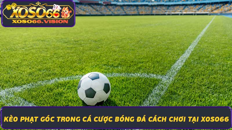 Kèo Phạt Góc Trong Cá Cược Bóng Đá Cách Chơi Tại Xoso66